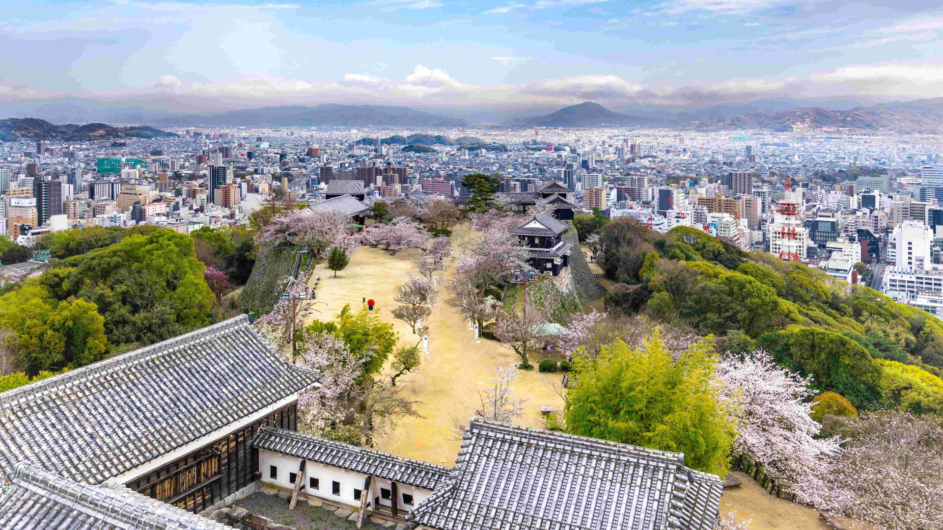 View from Matsuyama Castle across blossom-filled grounds to the city and mountains beyond